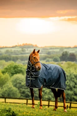 Horseware Amigo Ripstop 900D Plus Weidedecke mit abnehmbarem Halsteil, 100 g* Leichte Weidedecken