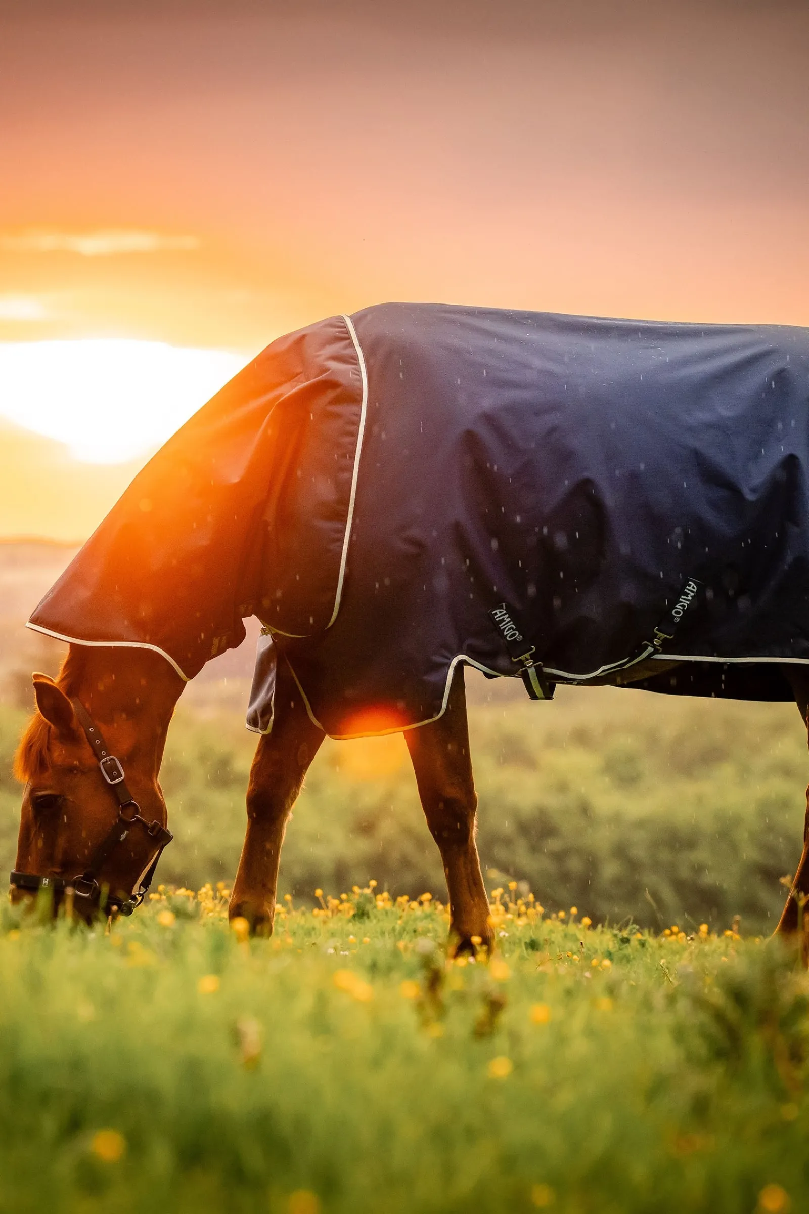 Horseware Amigo Ripstop 900D Plus Weidedecke mit abnehmbarem Halsteil, 100 g* Leichte Weidedecken