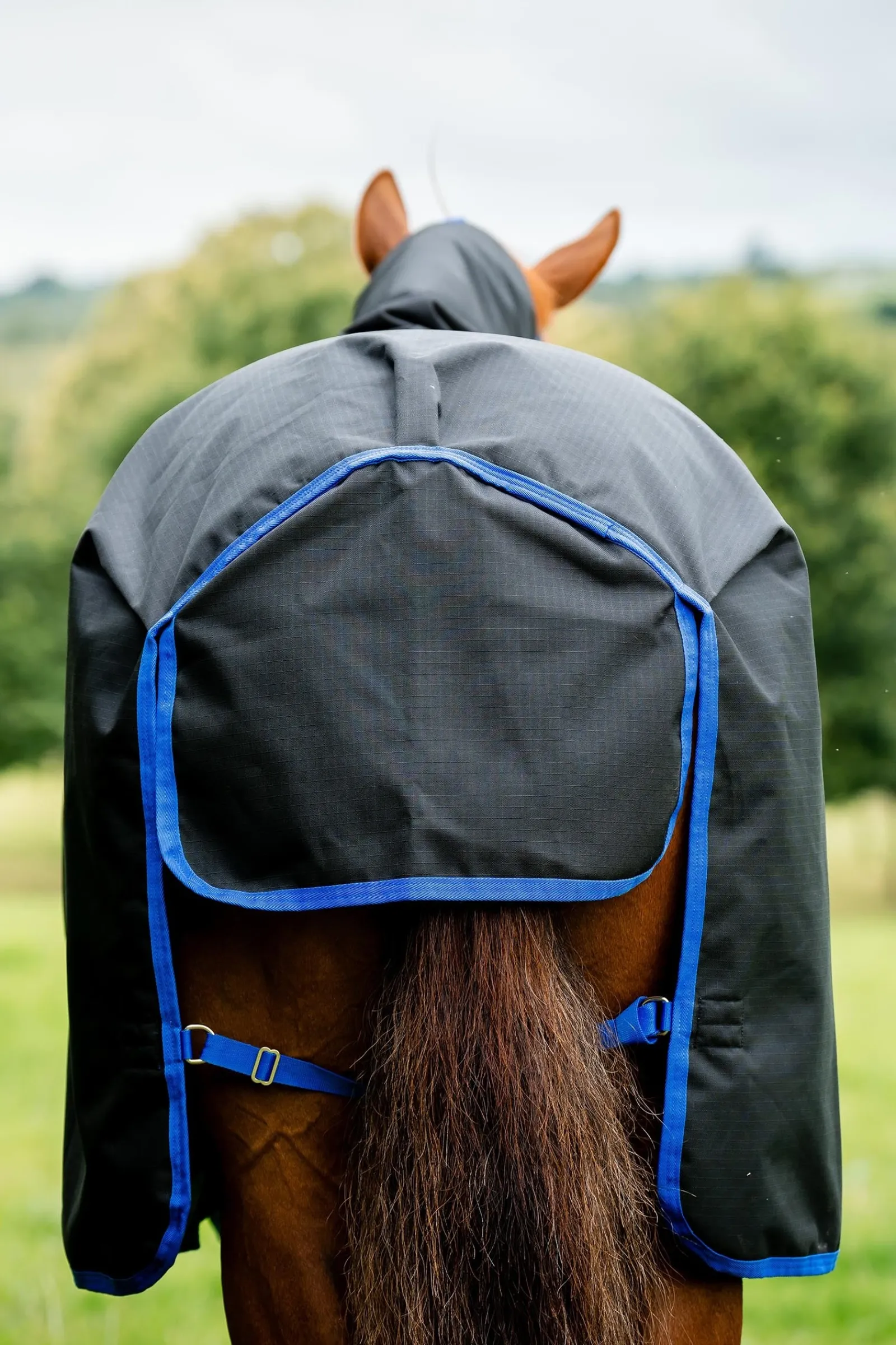 Horseware Amigo Ripstop 900D Plus Weidedecke mit abnehmbarem Halsteil, 100 g* Leichte Weidedecken