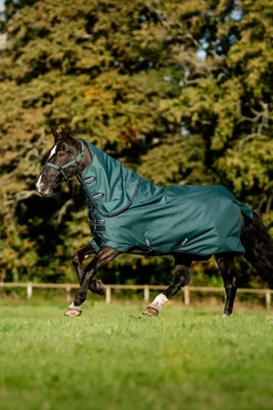 Horseware Amigo Ripstop 900D Plus Weidedecke mit abnehmbarem Halsteil, 100 g* Leichte Weidedecken