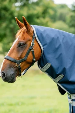 Horseware Amigo Ripstop 900D Plus Weidedecke mit abnehmbarem Halsteil, 100 g* Leichte Weidedecken