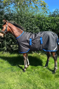 Horseware Amigo Ripstop 900D Weidedecke für Fohlen 50g* Ponydecken|Ponydecken