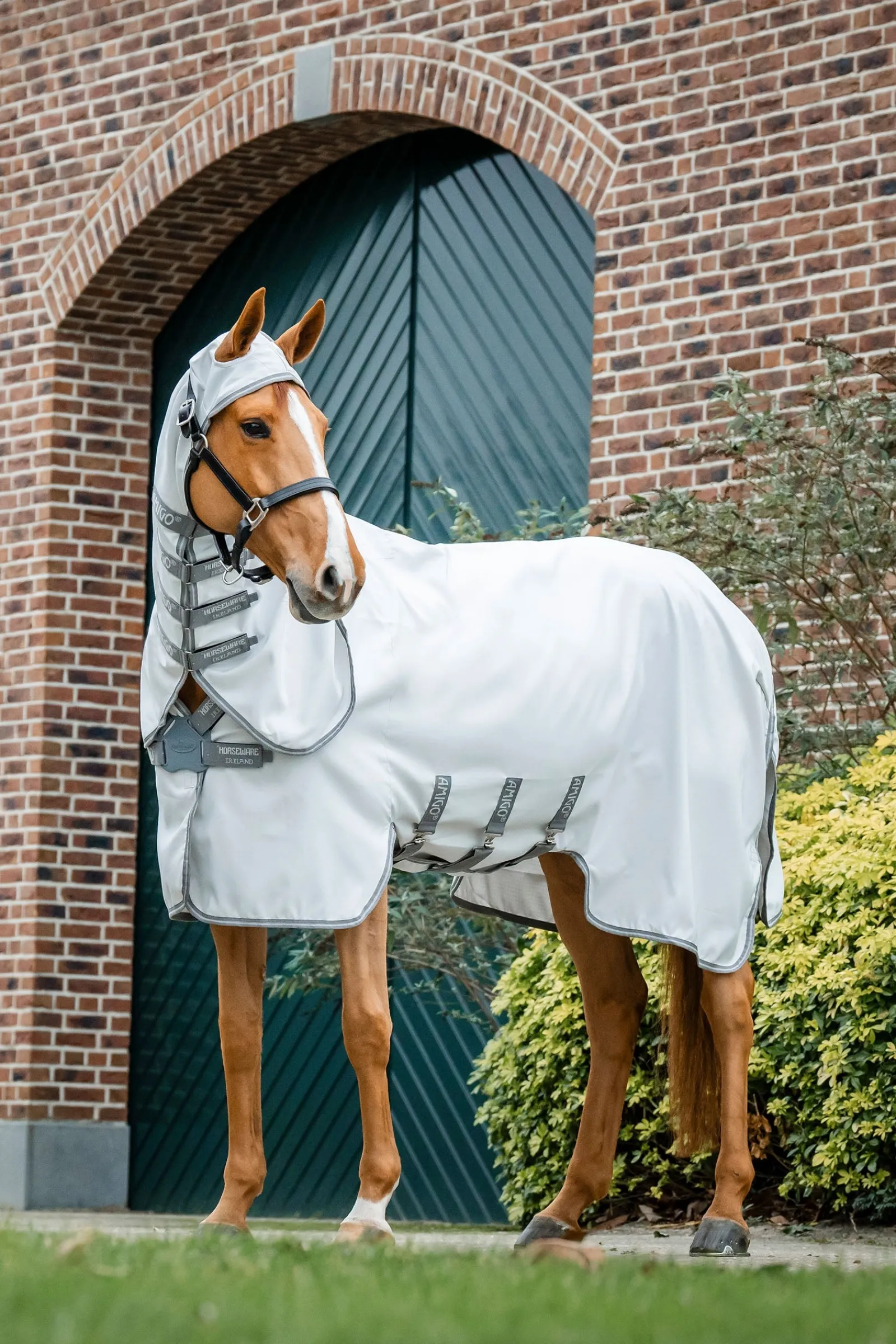 Horseware Amigo Ripstop Fliegendecke* Ekzemerdecken Und -Masken