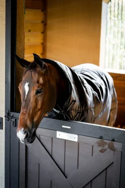 Horseware Amigo Ripstop Insulator Plus Stalldecke, 200 g* Stall- & Unterdecken