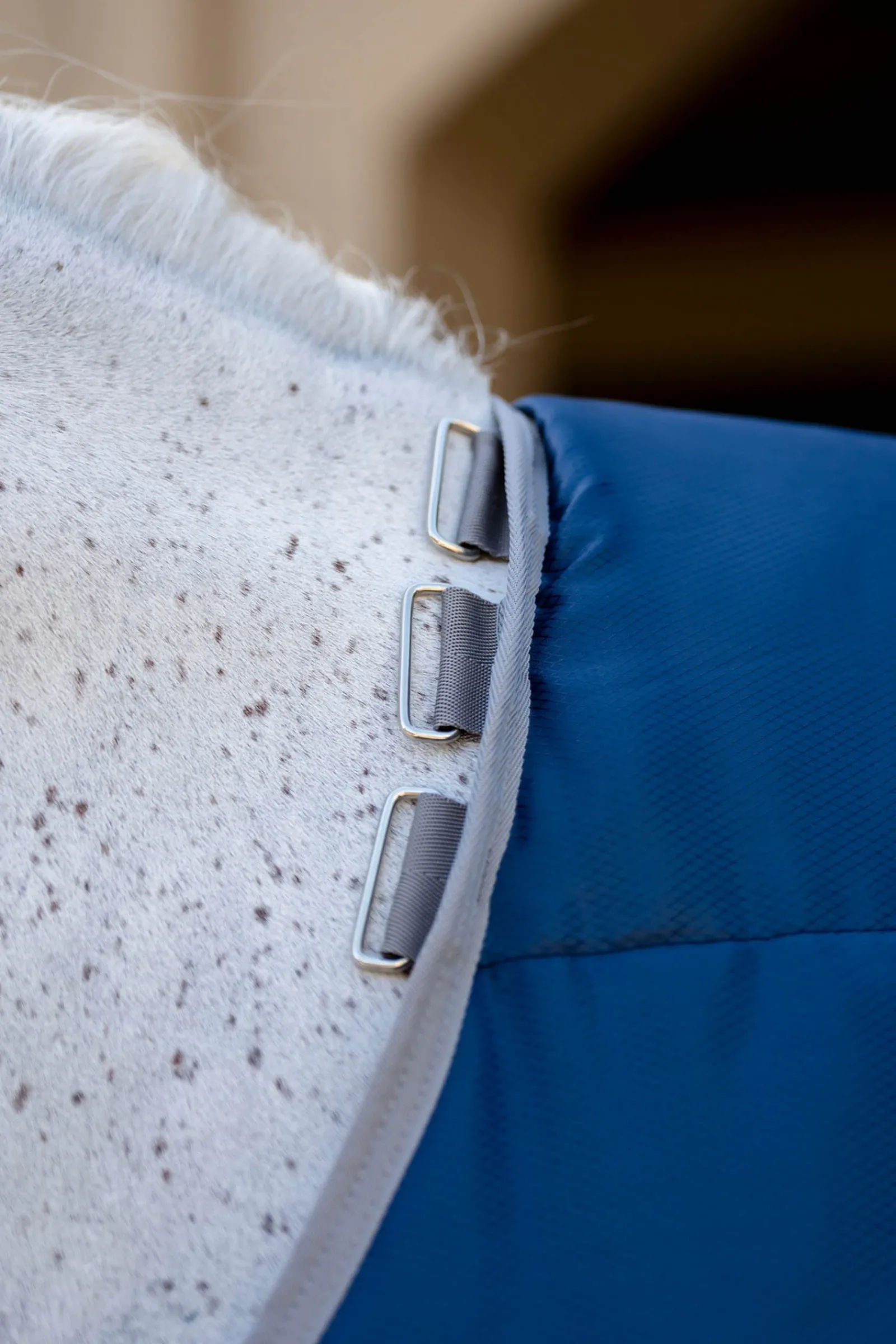 Horseware Amigo Ripstop Insulator Plus Stalldecke, 200 g* Stall- & Unterdecken