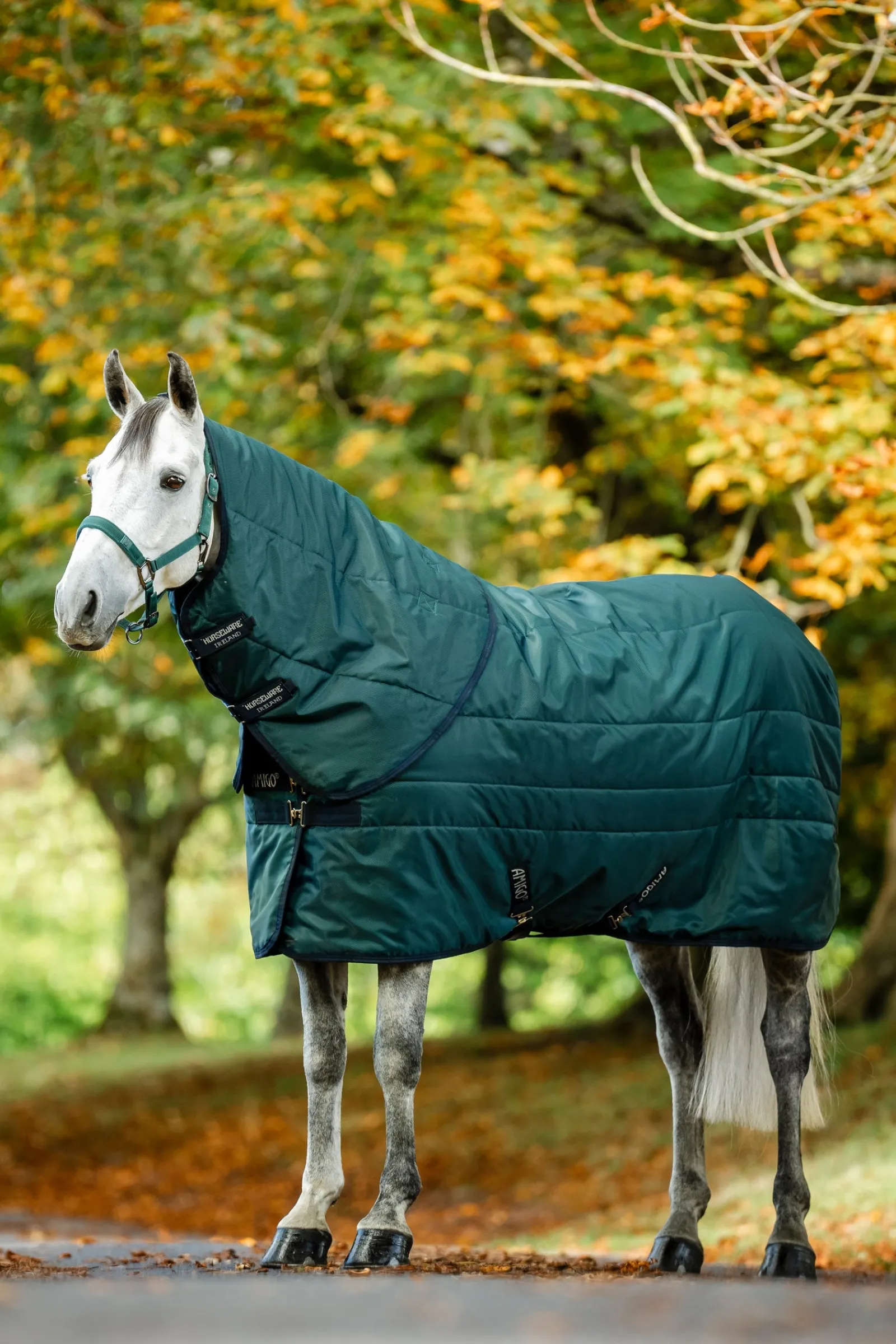 Horseware Amigo Ripstop Insulator Stalldecke 50g* Stall- & Unterdecken