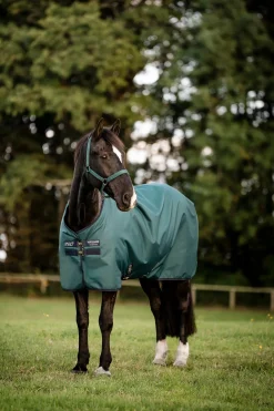 Horseware Amigo Ripstop Weidedecke 900D, 50g* Leichte Weidedecken