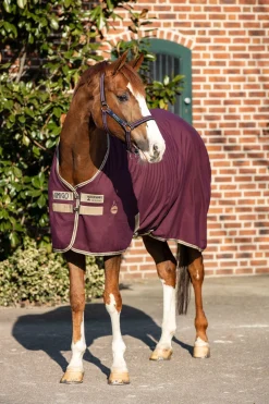 Horseware Amigo Stalldecke, 0g* Stall- & Unterdecken