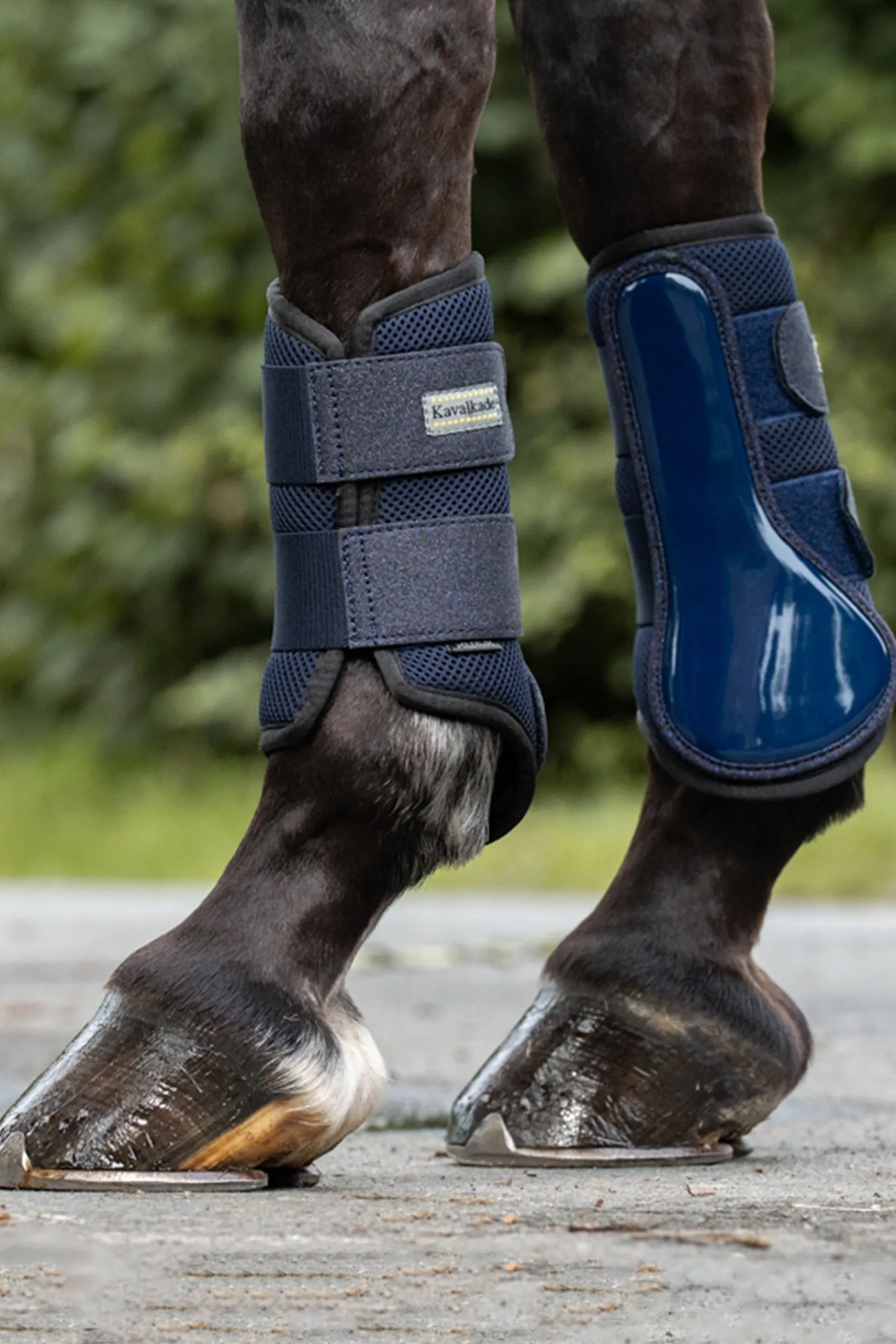Kavalkade Anatomic Star Mesh Brushing Boots (1Pair)* Gamaschen