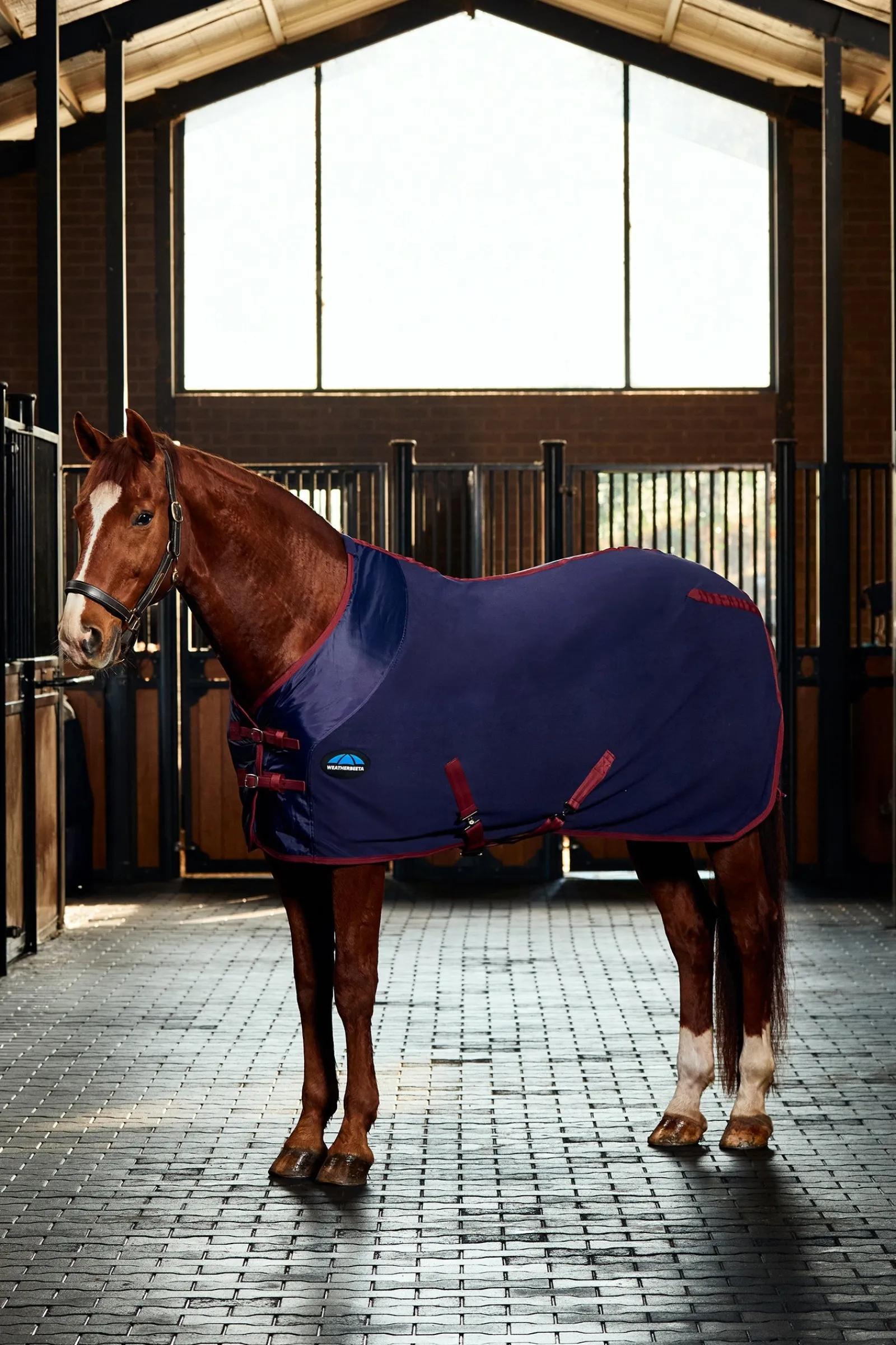 Weatherbeeta Anti-Sta Tic Fleece Cooler Rug Standard Neck* Abschwitzdecken