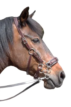 F.R.A. Freedom Riding Articles Aram Hackamore (System 2) Leather, Jaw Straps, w/ Scissors* Trensen & Nasenriemen