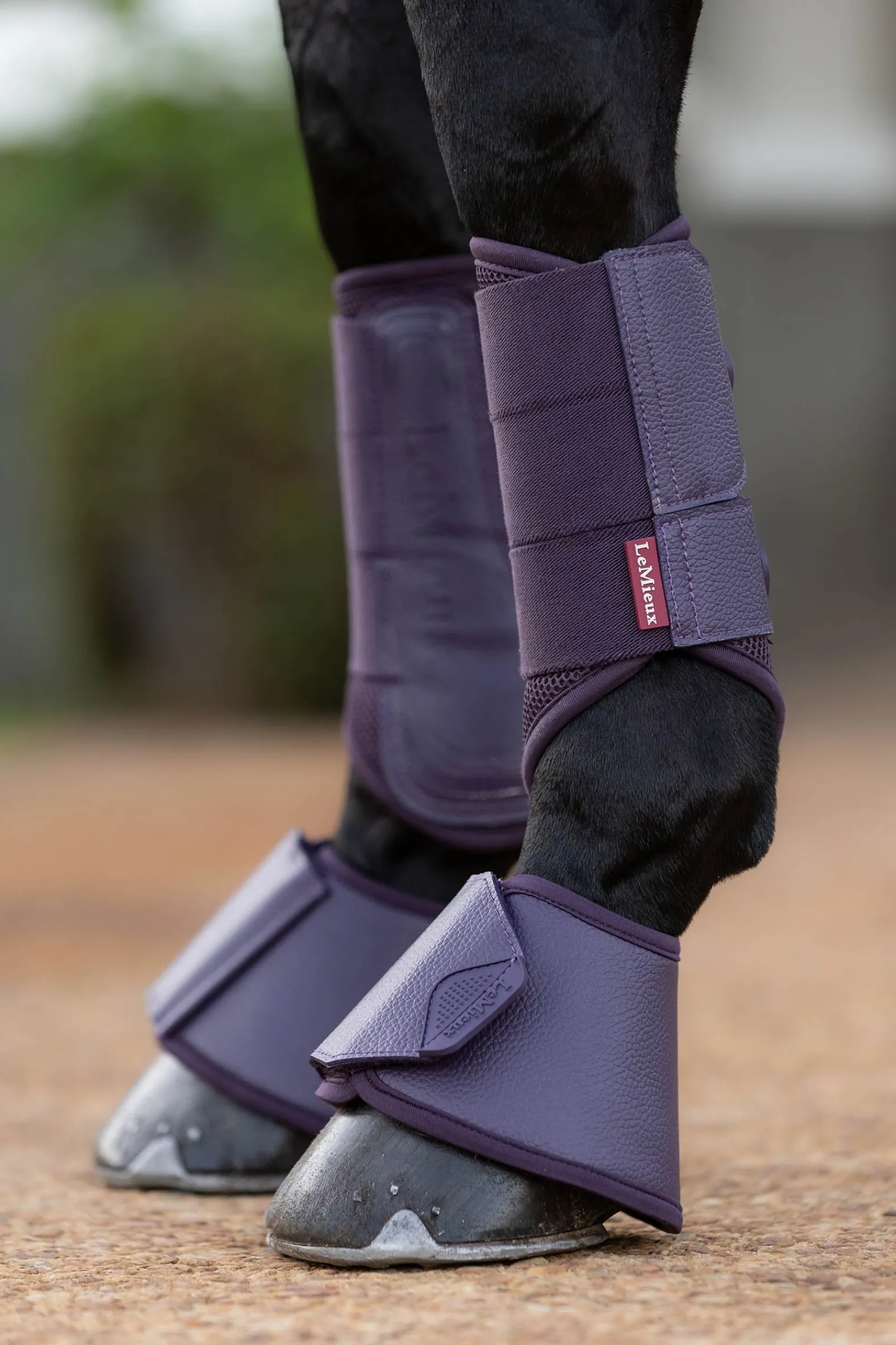 LeMieux Arika Hufglocken* Over Reach Boots