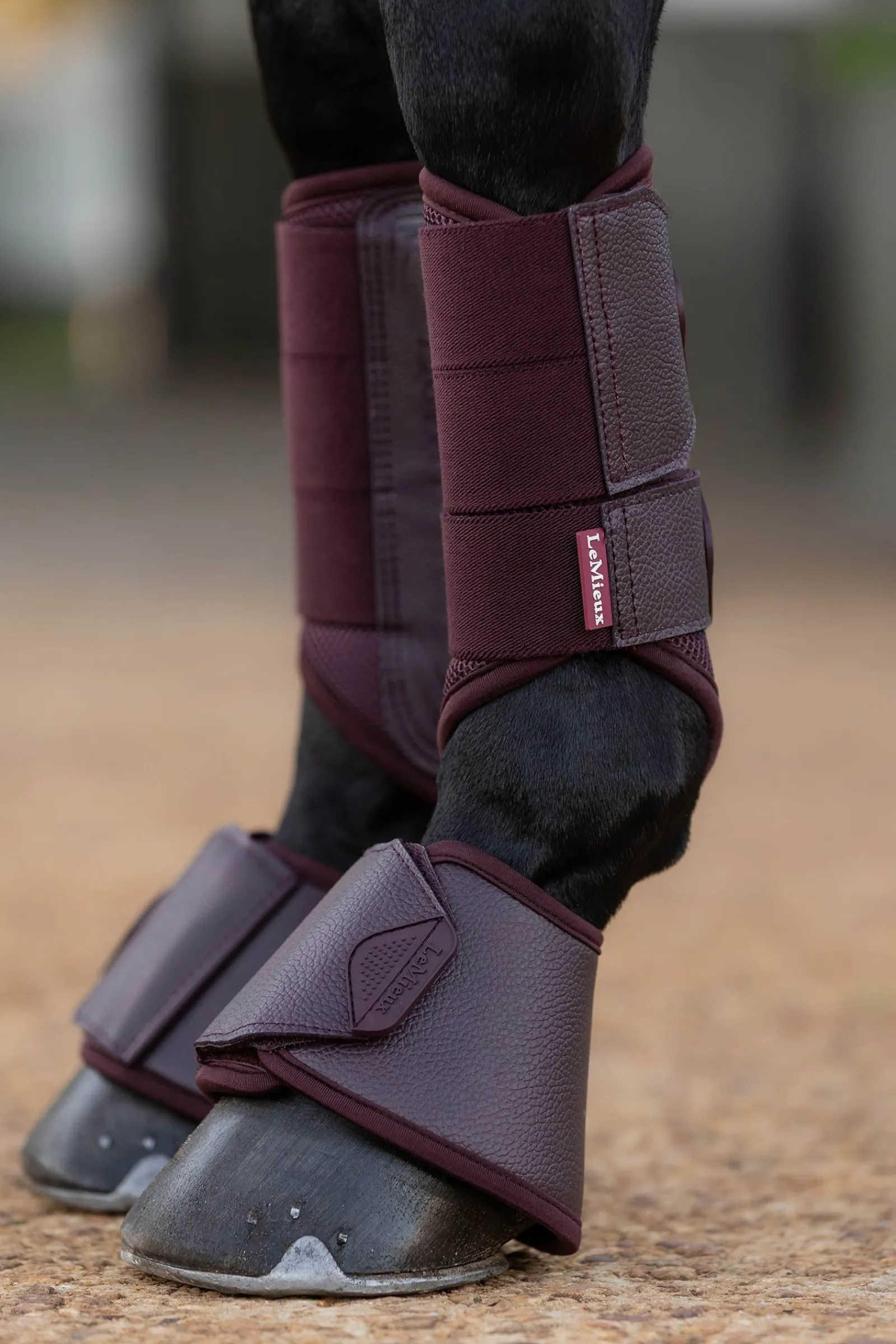 LeMieux Arika Hufglocken* Over Reach Boots