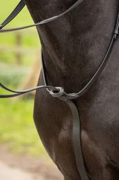 LeMieux Arika laufendes Martingal* Hilfszügel|Trainingshilfen