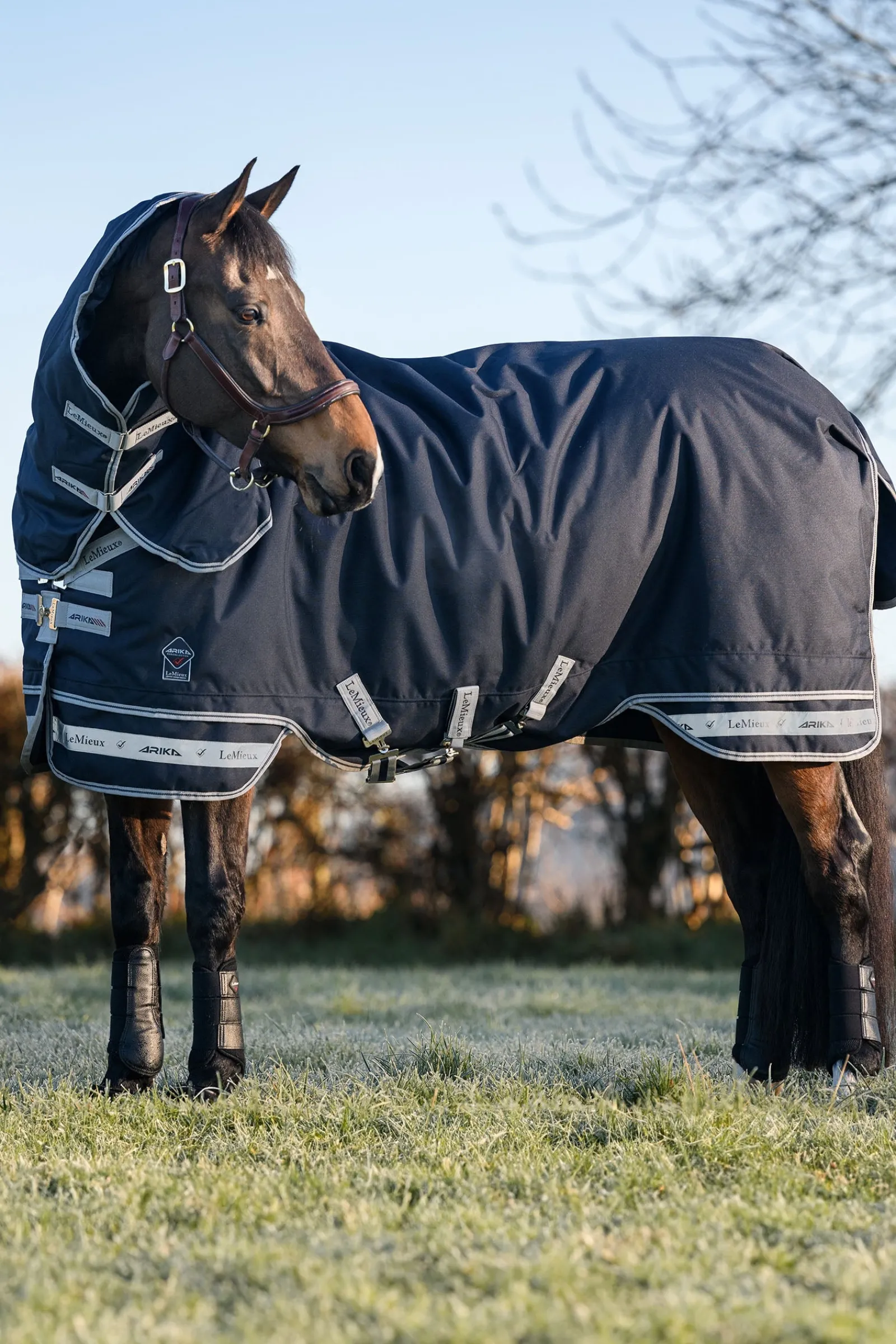 LeMieux Arika Storm-Tek 350g* Mittelschwere & Schwere Winterdecken