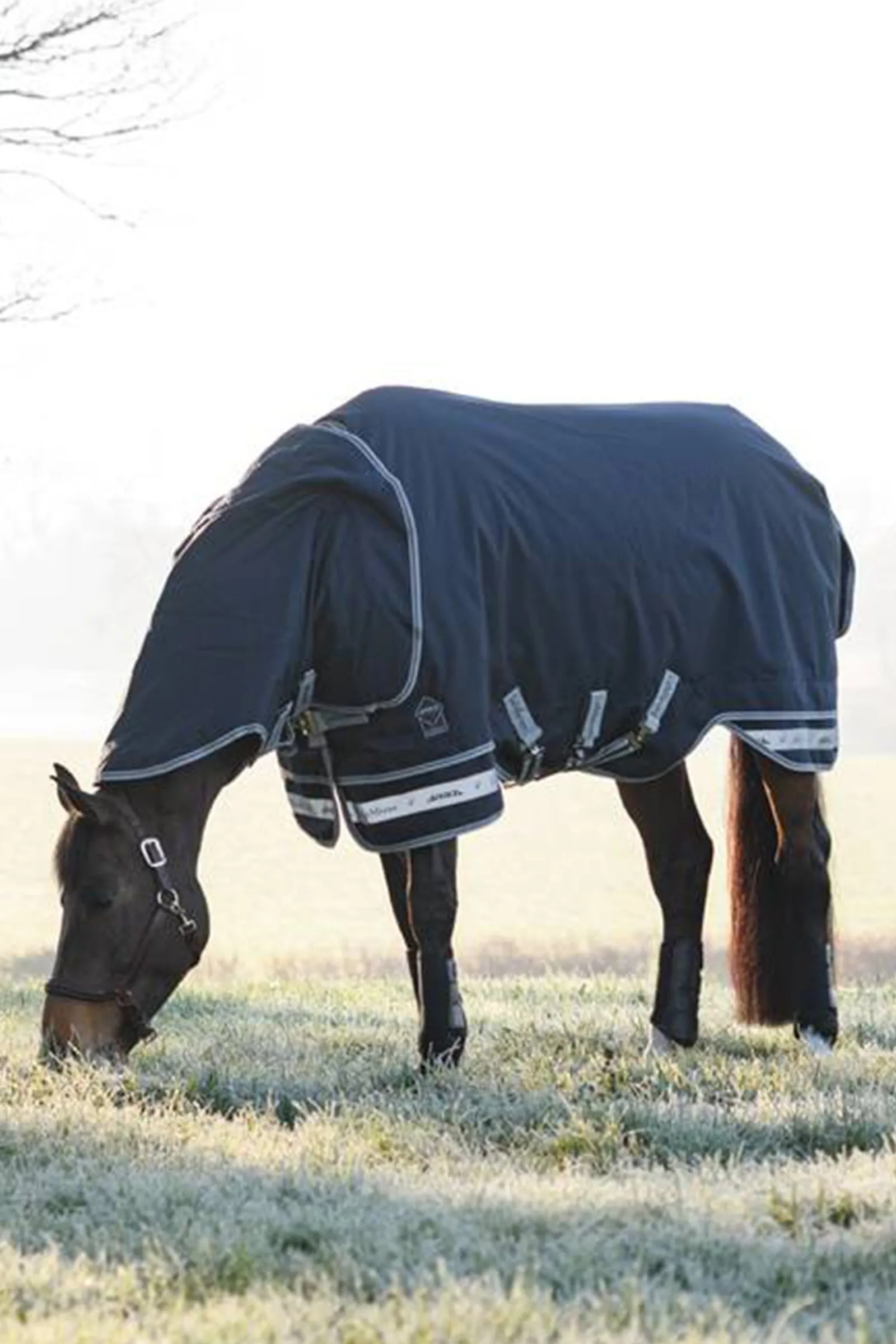 LeMieux Arika Storm-Tek Lightweight Turnout Rug, 100g* Leichte Weidedecken