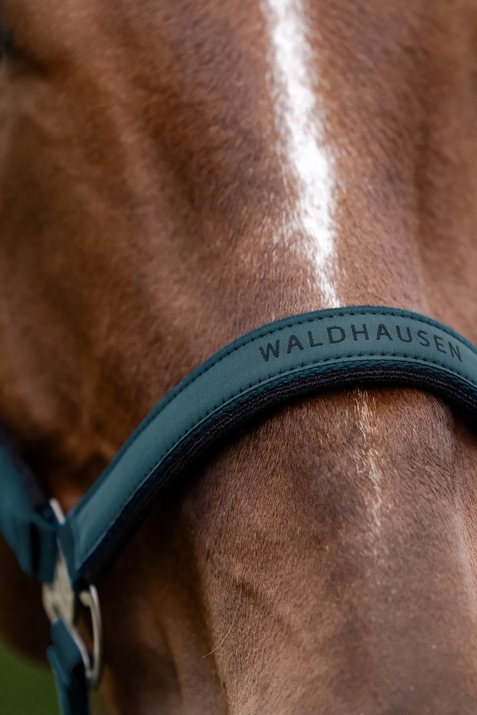 Waldhausen Athletic Halfter* Halfter