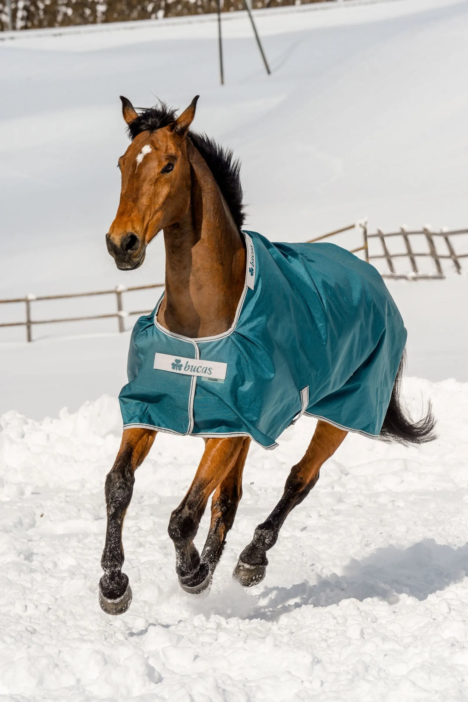 Bucas Atlantic Weidedecke, 200g* Mittelschwere & Schwere Winterdecken