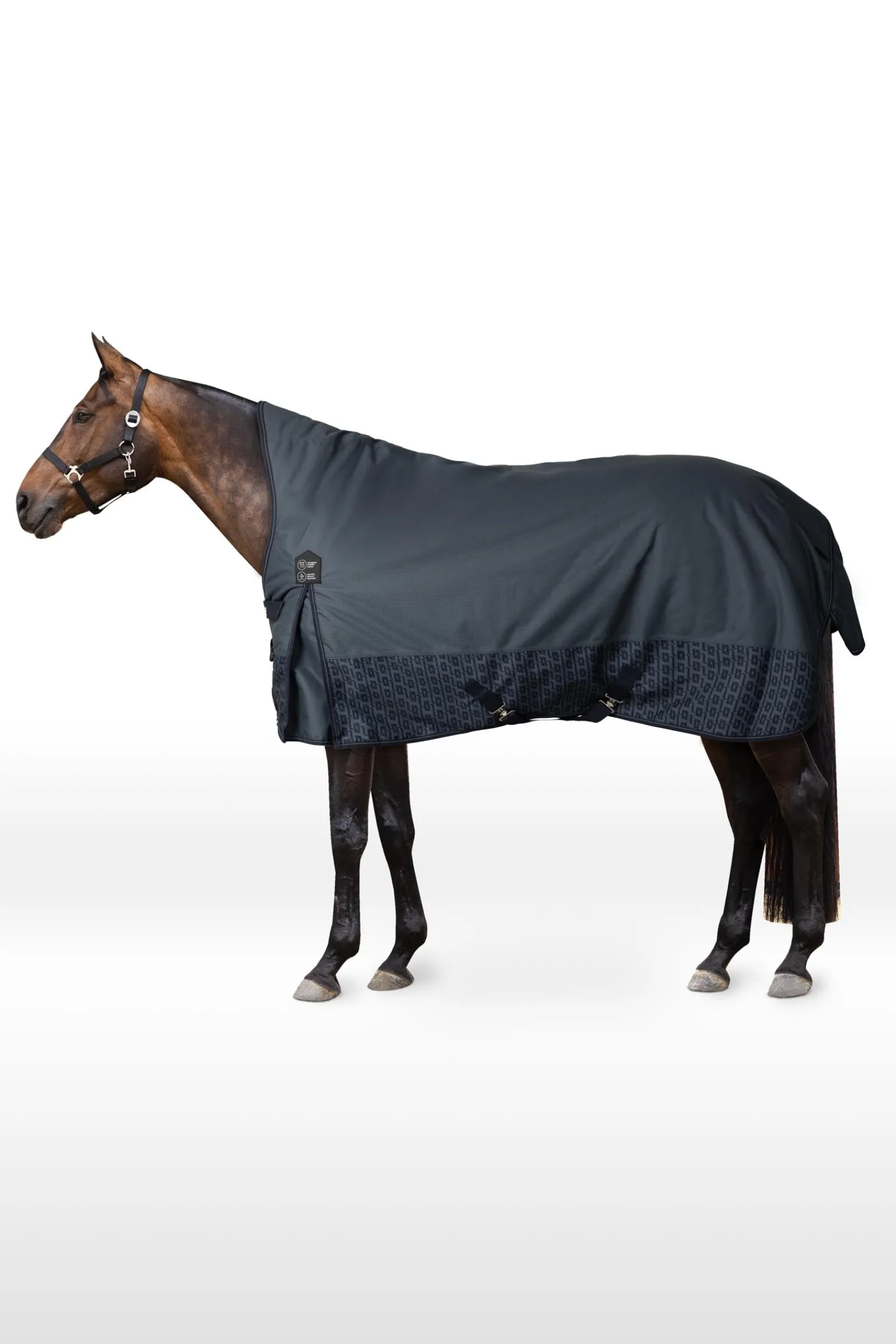 Horze Avalanche Regendecke mit hohem Hals, 150g* Leichte Weidedecken