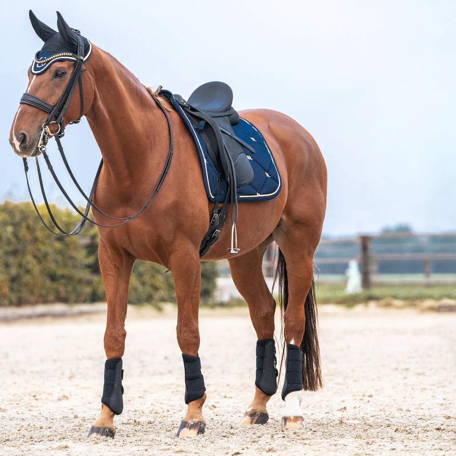 horze Back on Track Nights Collection Schabracke Dressur* Dressurschabracken
