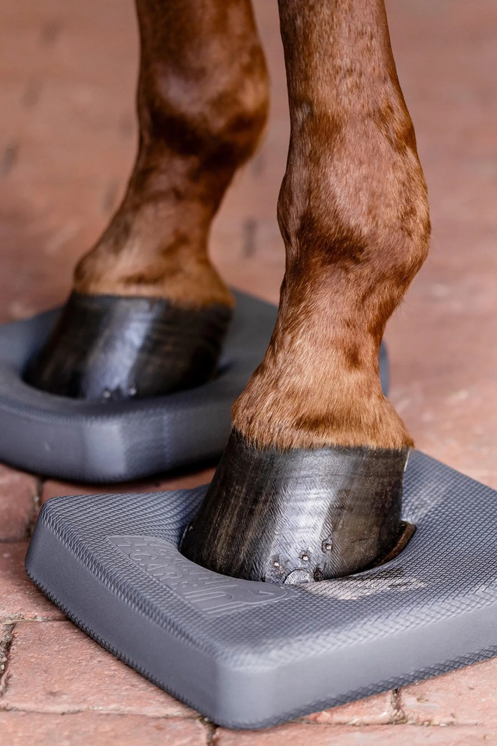 Waldhausen Health + Care Balance Pads* Aufbewahrung|Stallzubehör