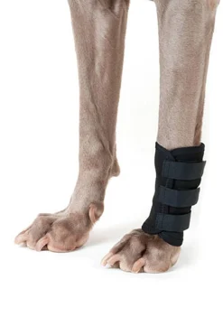 Back on Track Bandage für Hunde (1 Stück)* Weitere Produkte Für Hunde