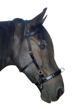 F.R.A. Freedom Riding Articles Baro Kappzaum, Leder (Shire)* Longier- Und Trainingsausrüstung|Kappzäume