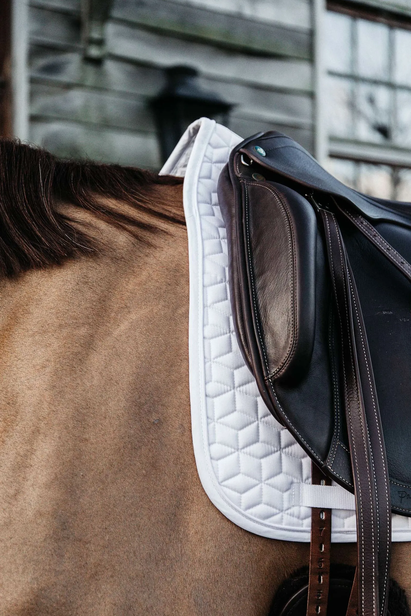Kentucky Horsewear Basic Dressurschabracke* Dressurschabracken