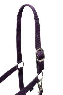 Horze Basic Halfter & Führstrick mit Panikhaken* Halfter