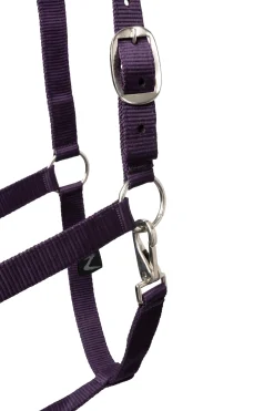 Horze Basic Halfter & Führstrick mit Panikhaken* Halfter