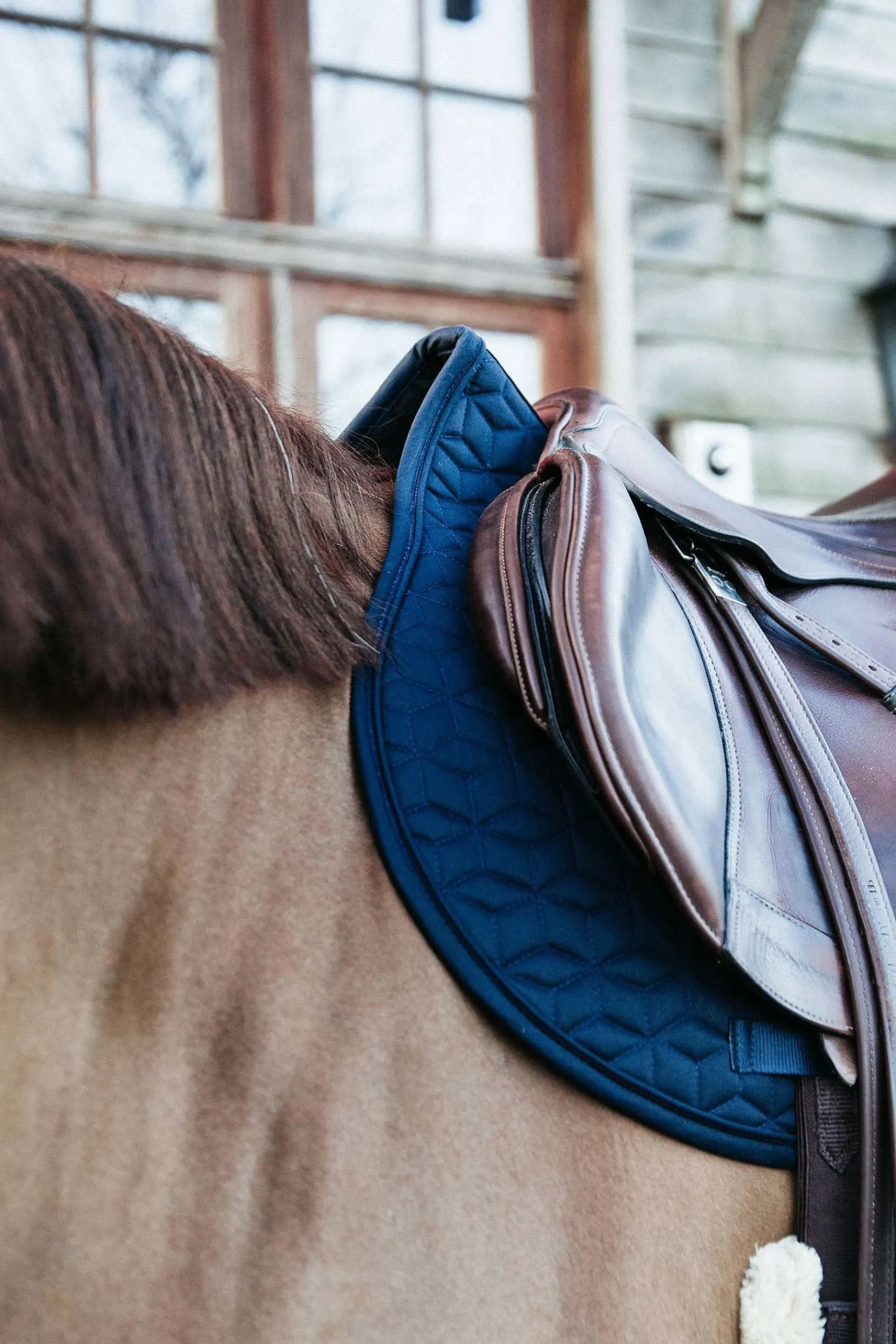 Kentucky Horsewear Basic Springschabracke* Spring- & Vielseitigkeitsschabracken