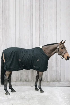 Kentucky Horsewear Baumwoll Abschwitzdecke* Abschwitzdecken