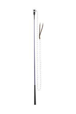 USG Bodenarbeitsstick mit abnehmbarem Schlag* Trainingsgerten