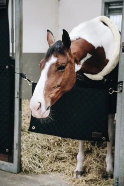 Kentucky Horsewear Boxentürvorhang* Aufbewahrung|Stallzubehör