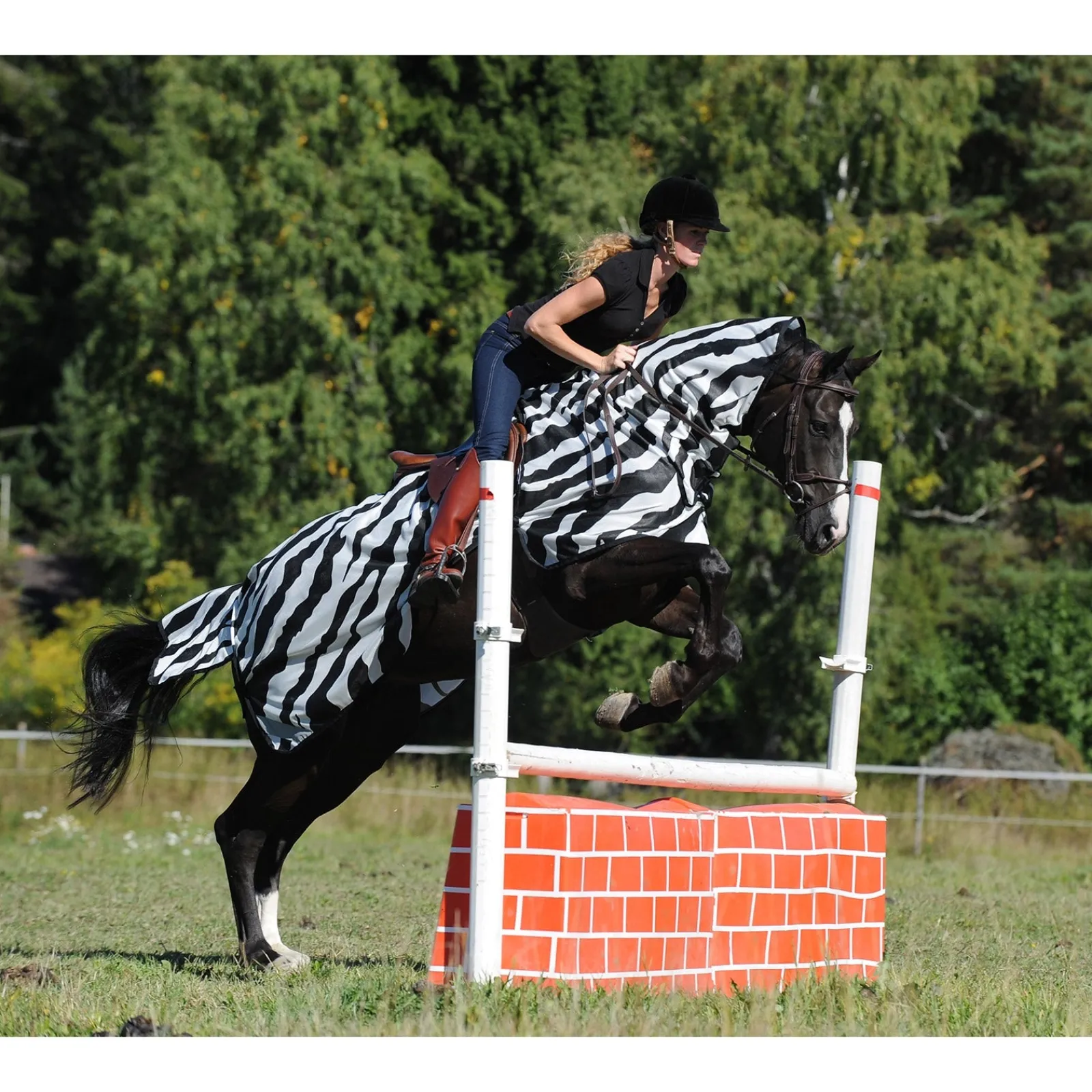 Bucas Buzz-Off Zebra Fliegenausreitdecke* Fliegendecken