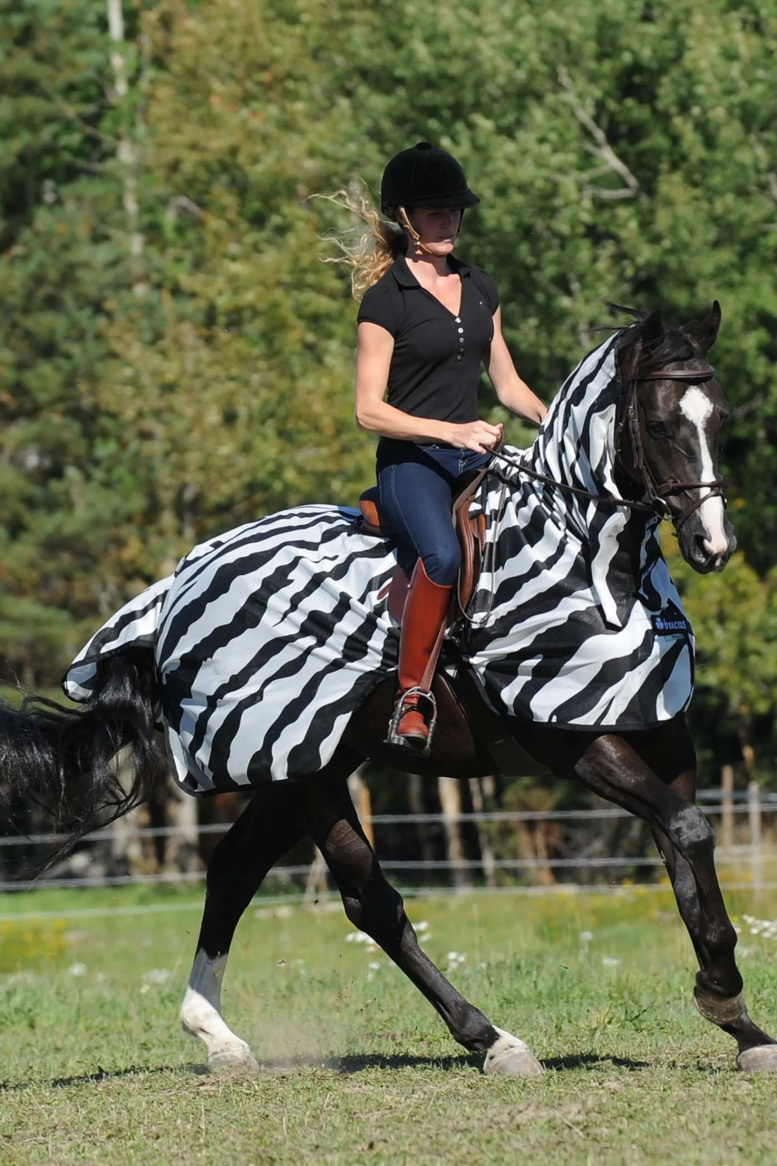 Bucas Buzz-Off Zebra Fliegenausreitdecke* Fliegendecken