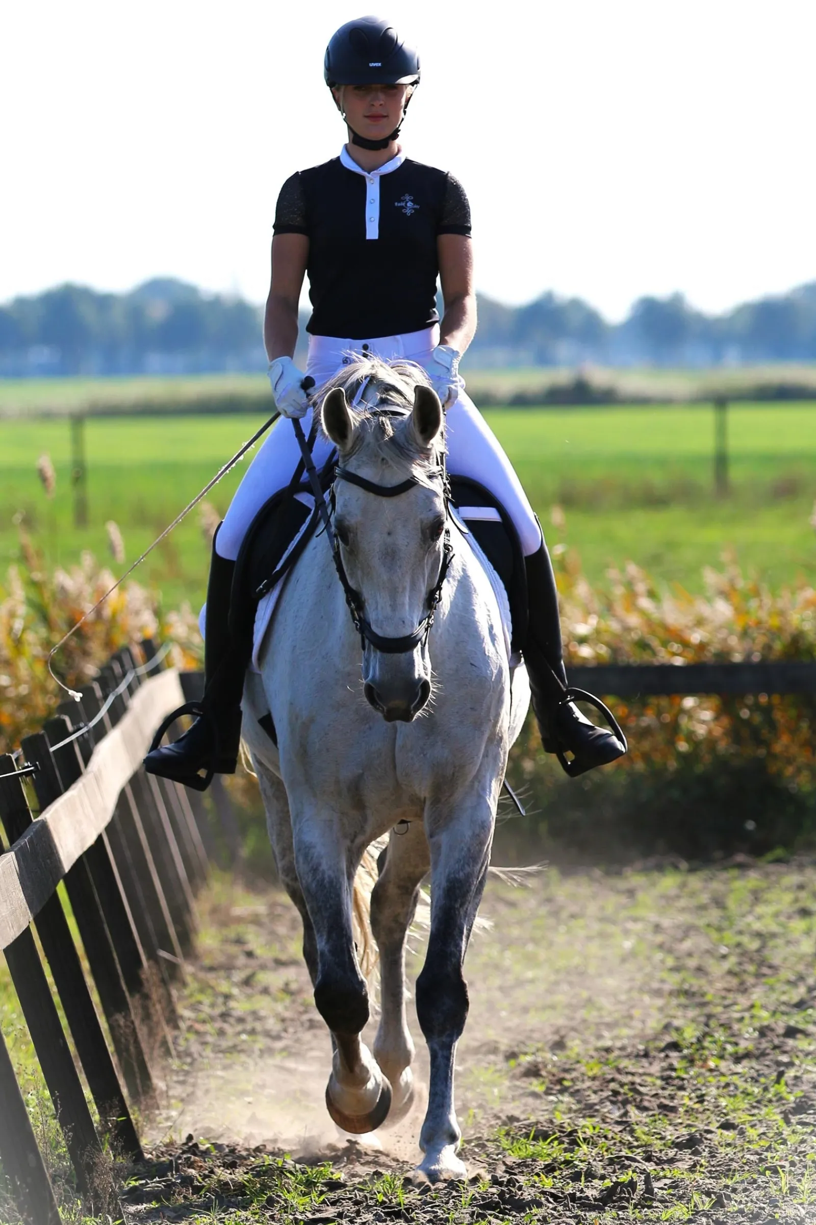 F.R.A. Freedom Riding Articles Calli Hackamore Zaum mit Zügeln (System 2)* Trensen & Nasenriemen