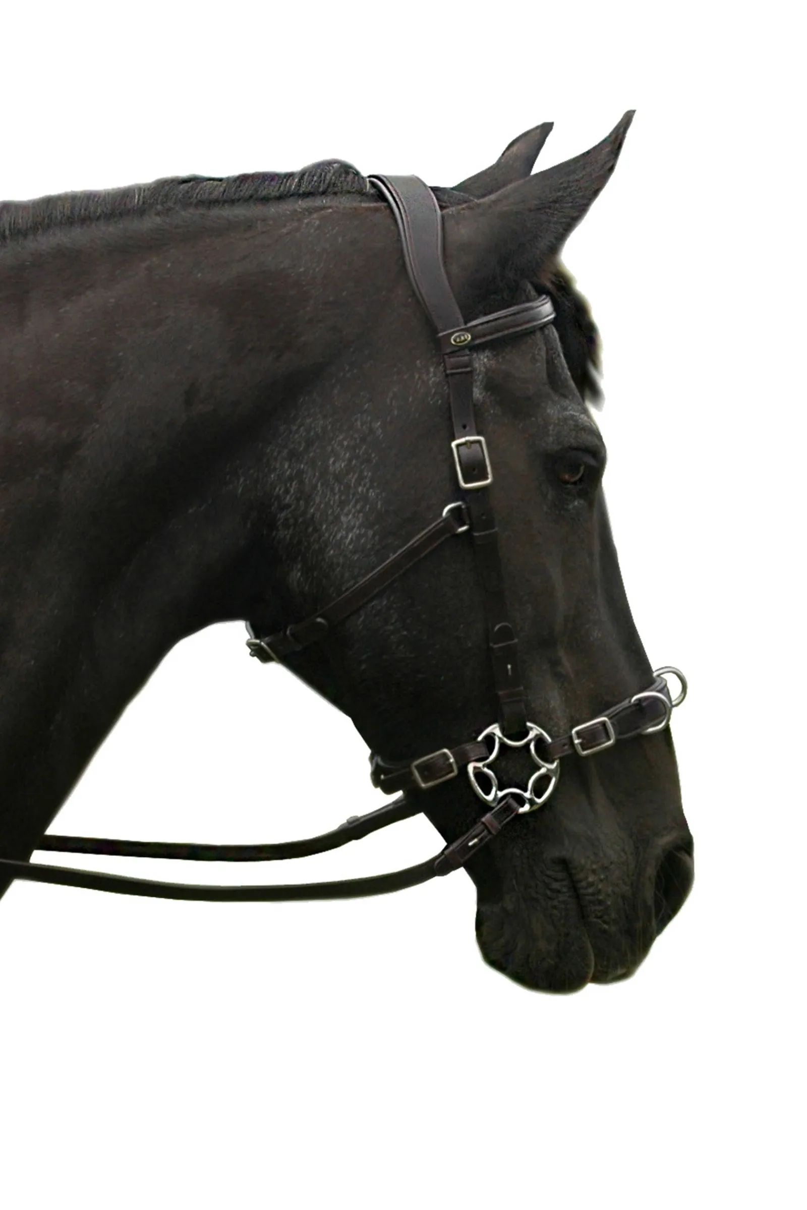 F.R.A. Freedom Riding Articles Caval Compl. Cavemore Trense (Syst.2) w/ Scissors & Reins* Trensen & Nasenriemen