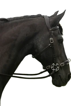 F.R.A. Freedom Riding Articles Caval Compl. Cavemore Trense Englisch Leder (Syst.2) Shire* Trensen & Nasenriemen