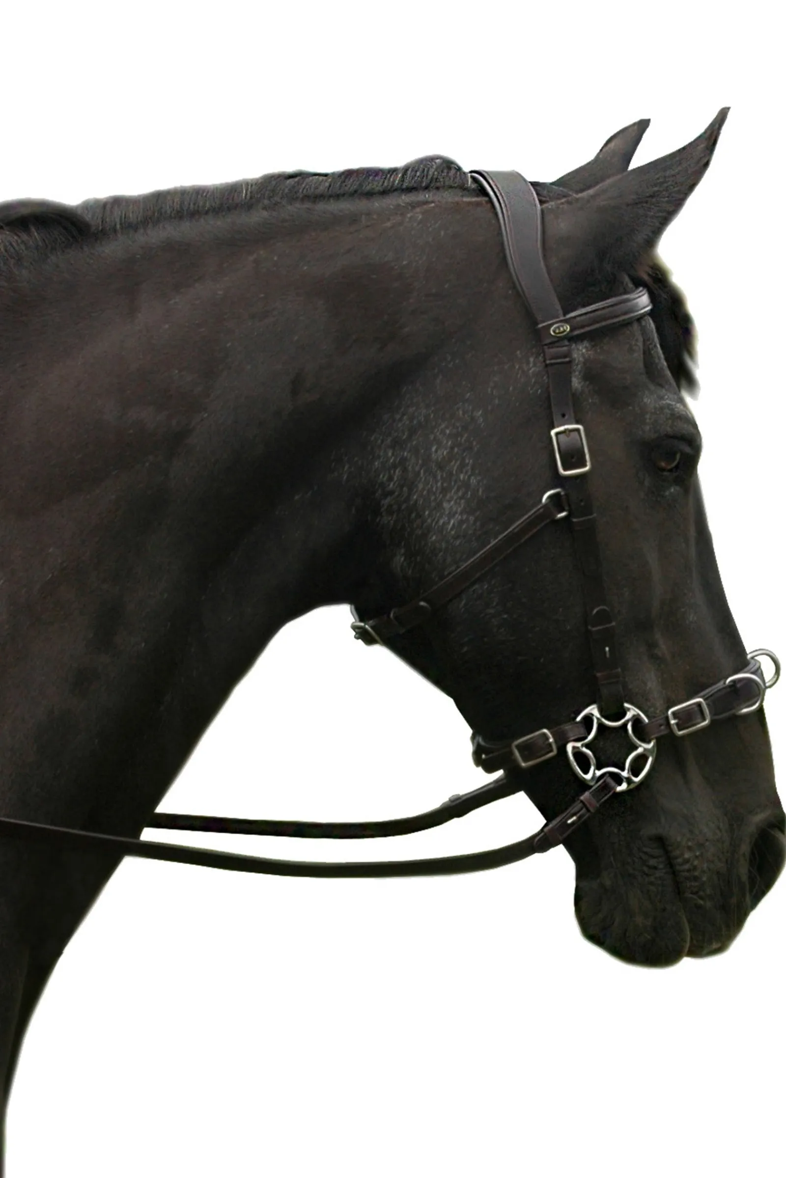 F.R.A. Freedom Riding Articles Caval Compl. Cavemore Trense Englisch Leder (Syst.2) Shire* Trensen & Nasenriemen