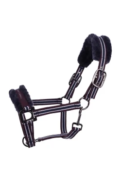 Cavallo CAVALHELIA Halfter* Halfter