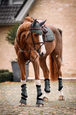 Cavallo CAVALJOCA Soft Gamaschen* Dressurgamaschen