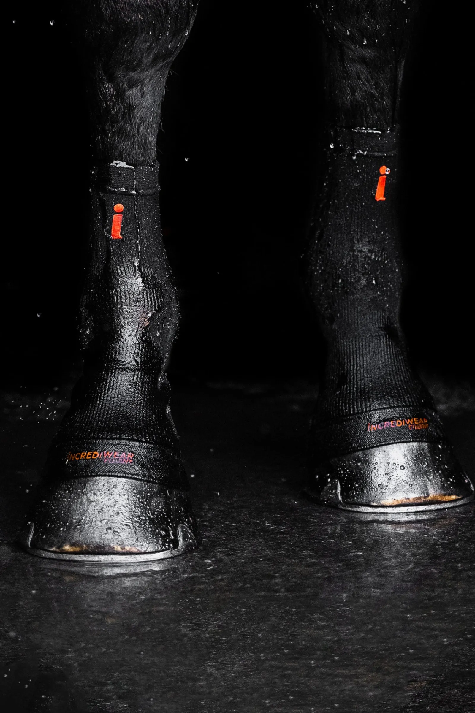 Incrediwear Circulation Hoof Socks* Therapie- & Kühlgamaschen