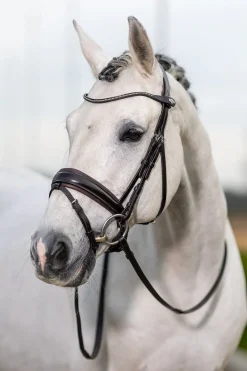 LeMieux Classic Dressurtrense* Trensen & Nasenriemen