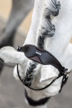 LeMieux Classic Dressurtrense* Trensen & Nasenriemen