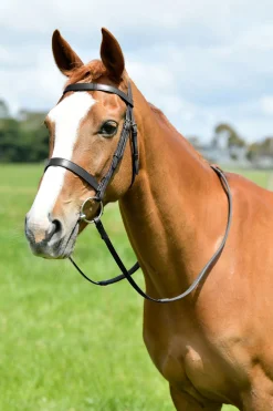 Kincade Classic flache Jagdtrense mit Zügeln* Trensen & Nasenriemen