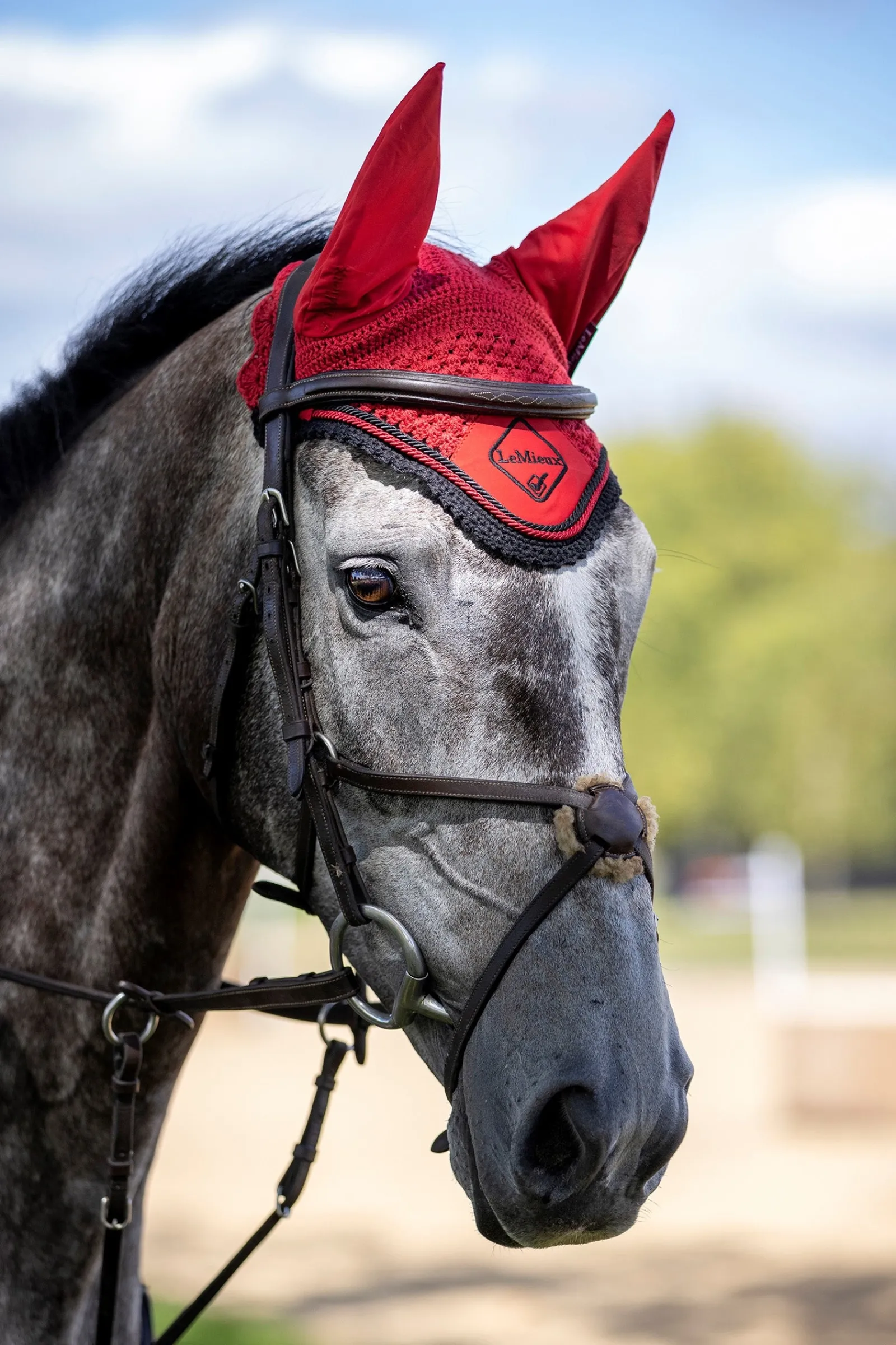 LeMieux Classic Fliegenhaube* Fliegenmasken & Fliegenfransen