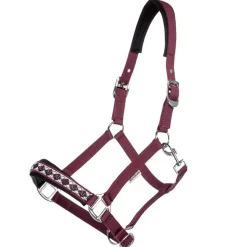 Kavalkade Classic Halfter* Halfter
