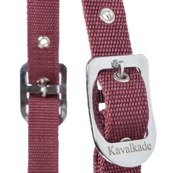 Kavalkade Classic Halfter* Halfter