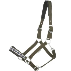 Kavalkade Classic Halfter* Halfter